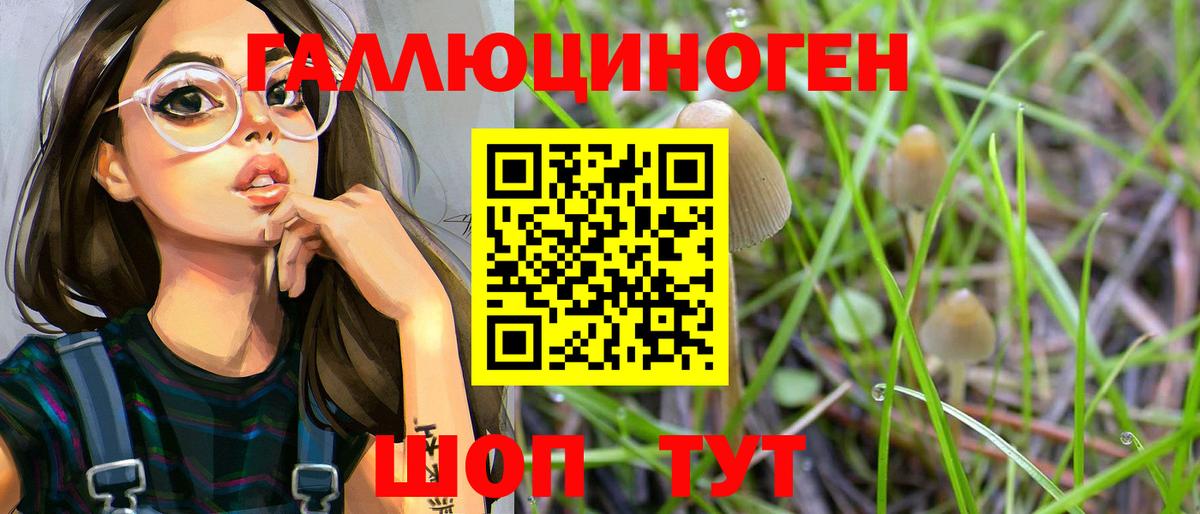 Псилоцибиновые грибы Cubensis  Вход с VPN  Псилоцибиновые грибы GOLDEN TEACHER  Волгоград 