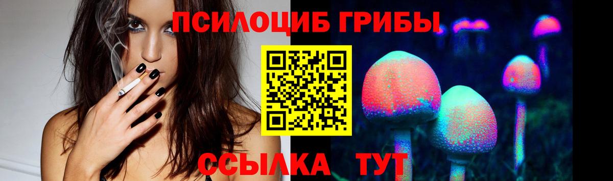 Галлюциногенные грибы мицелий Волгоград